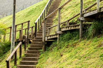 Using the Self Assessment questions for business growth
